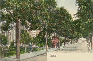 Lubań - Reprodukcja 14392