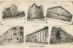 Lubań widokowa - Reprodukcja 14413