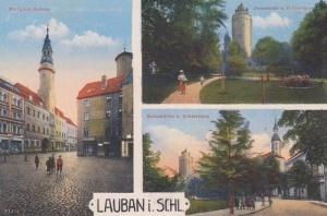 Lubań widokowa - Reprodukcja 14416