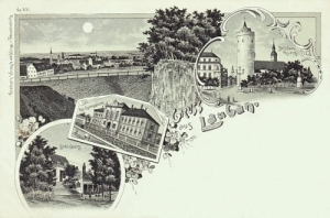 Lubań widokowa - Reprodukcja 14417