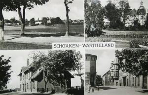 Skoki widokowa - Reprodukcja 14529