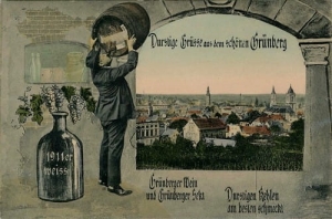 Zielona Góra Panorama - Reprodukcja 1178