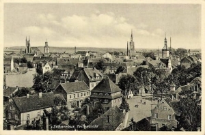 Świebodzin panorama - Reprodukcja 14451