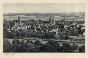 Świebodzin panorama - Reprodukcja 14460