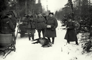 Białowieża polowanie - Reprodukcja 14549