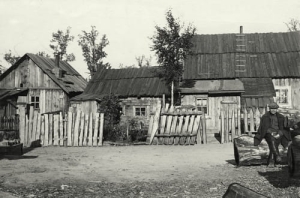 Białowieża - Reprodukcja 14559