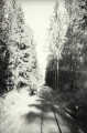 nowe-14568.jpg