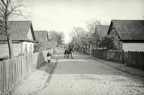 nowe-14569.jpg