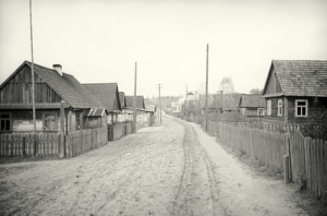Białowieża - Reprodukcja 14572
