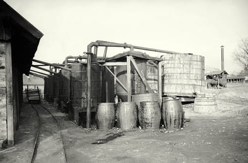 nowe-14582.jpg