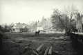 nowe-14585.jpg