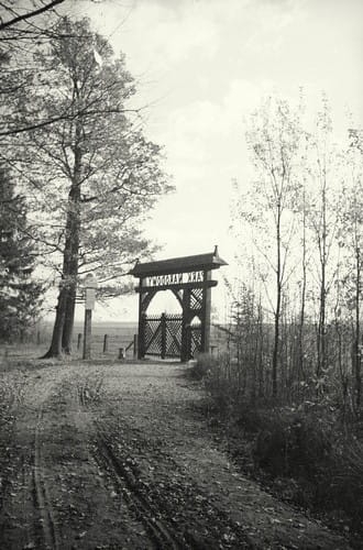 nowe-14588.jpg