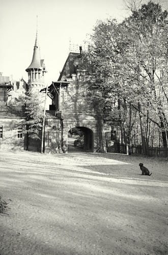 nowe-14589.jpg