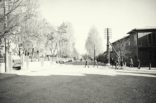 nowe-14590.jpg