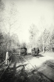 nowe-14598.jpg