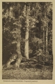 nowe-14601.jpg