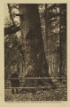 nowe-14603.jpg