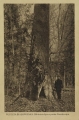 nowe-14607.jpg