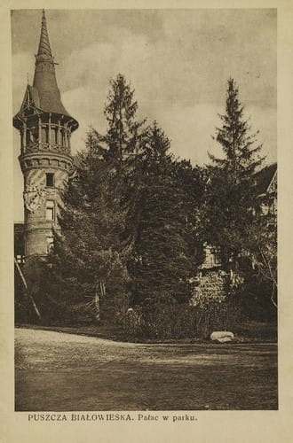 nowe-14608.jpg