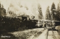 nowe-14611.jpg