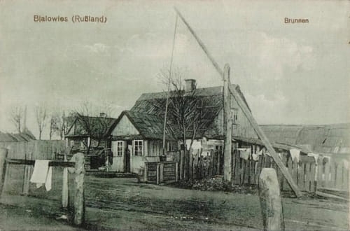nowe-14614.jpg