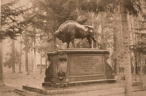 Białowieża - Reprodukcja 14630