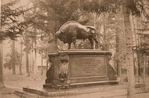 nowe-14630.jpg