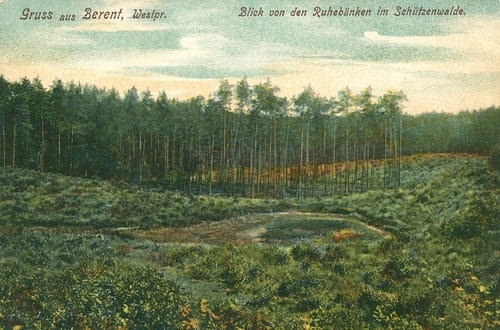 nowe-14679.jpg