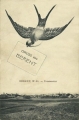 nowe-14691.jpg