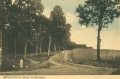 nowe-14721.jpg