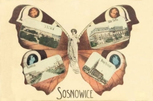 Sosnowiec widokowa - Reprodukcja 15436