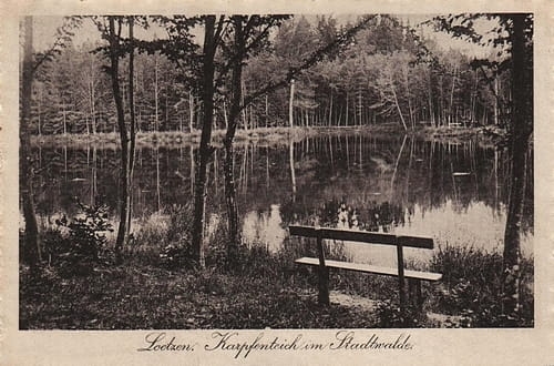 nowe-14972.jpg