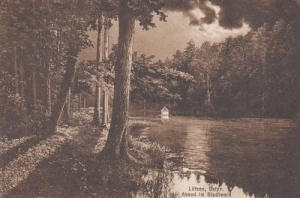 Gajewo - Reprodukcja 14974
