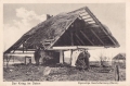 nowe-14987.jpg