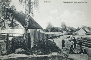 Wężówka - Reprodukcja 15032