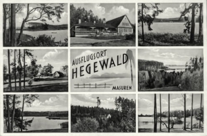 Żabinka - Reprodukcja 15055