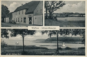 Wilkasy - Reprodukcja 15067