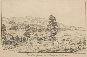 Mirsk panorama - Reprodukcja 15083