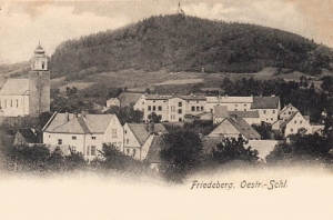 Mirsk panorama - Reprodukcja 15086