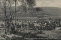 nowe-15093.jpg