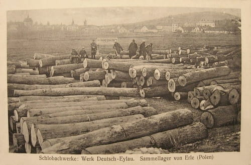 nowe-16256.jpg