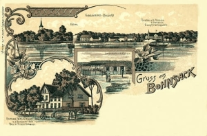 Gdańsk Wyspa Sobieszowska-Reprodukcja 16409
