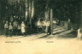 nowe-16418.jpg
