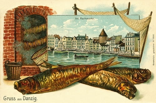 nowe-16475.jpg