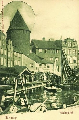 nowe-16477.jpg