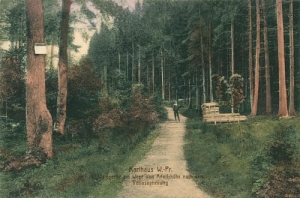 Kartuzy - Reprodukcja 16508