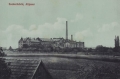 nowe-16543.jpg
