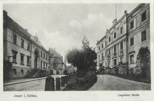Jawor ul. Legnicka - Reprodukcja 16555