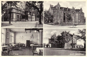 Jawor widokowa - Reprodukcja 16556