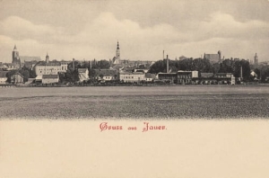 Jawor panorama - Reprodukcja 16559